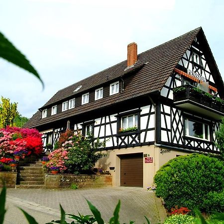 Pension Am Weinberg Sasbachwalden Extérieur photo