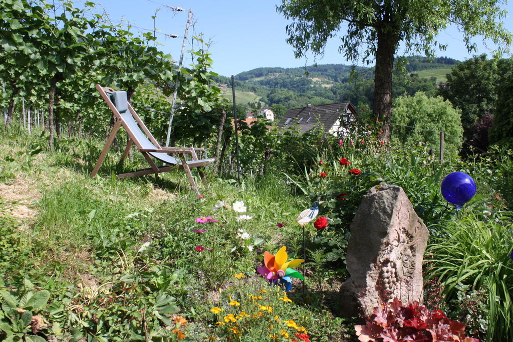 Pension Am Weinberg Sasbachwalden Extérieur photo