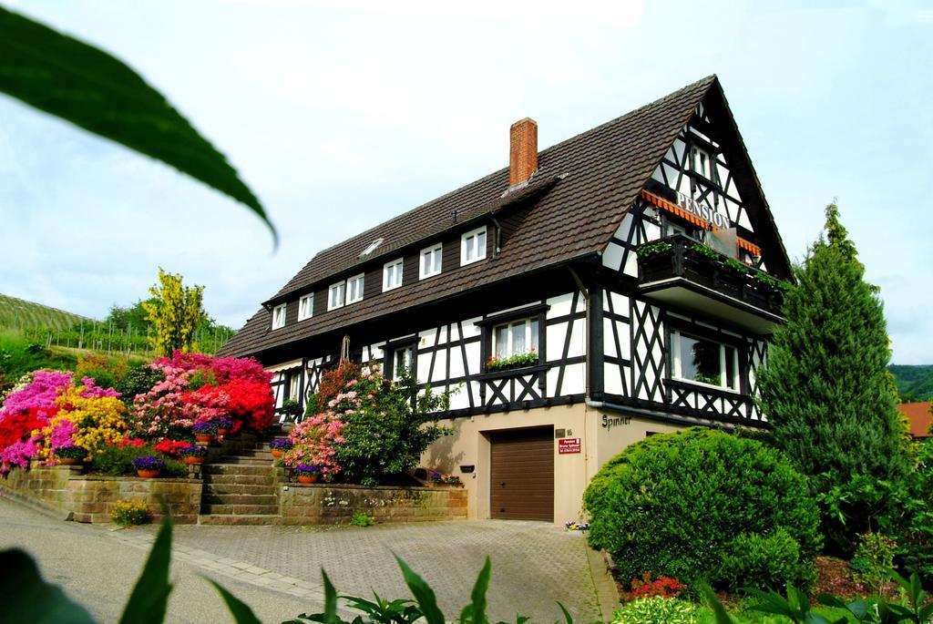 Pension Am Weinberg Sasbachwalden Extérieur photo