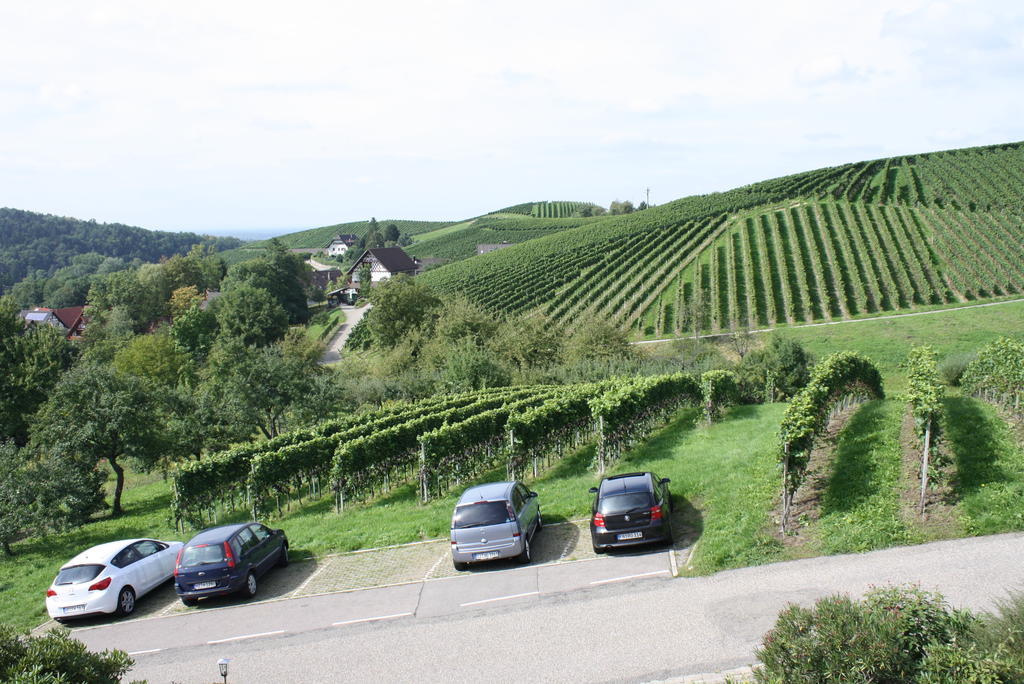 Pension Am Weinberg Sasbachwalden Extérieur photo
